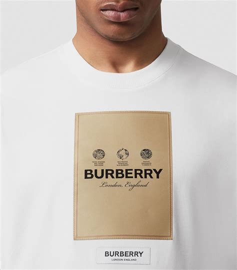 burberry blue logo t shirt|Burberry oversized t shirt.